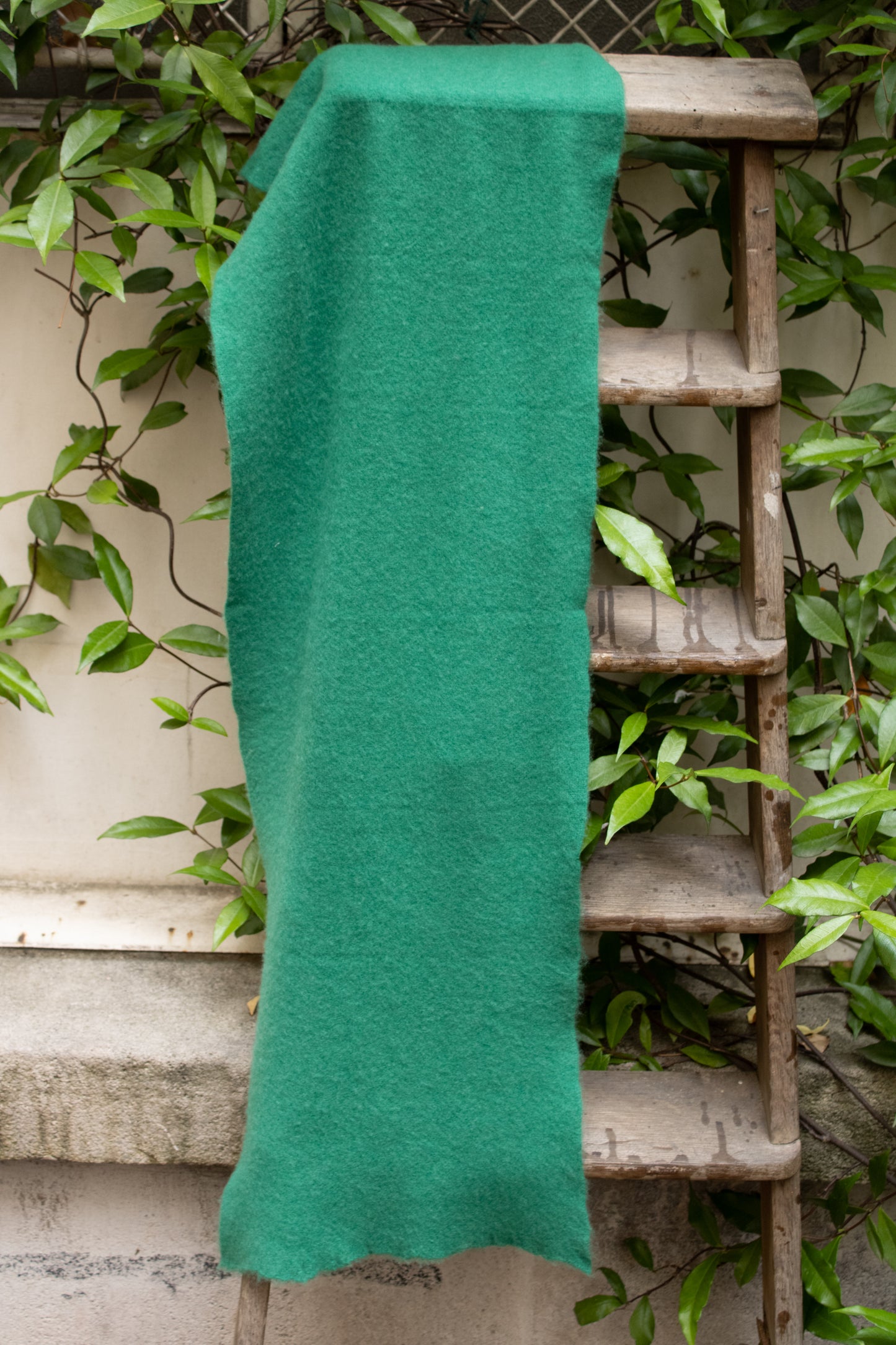 CASHMERE SCARF ENGLISH GREEN